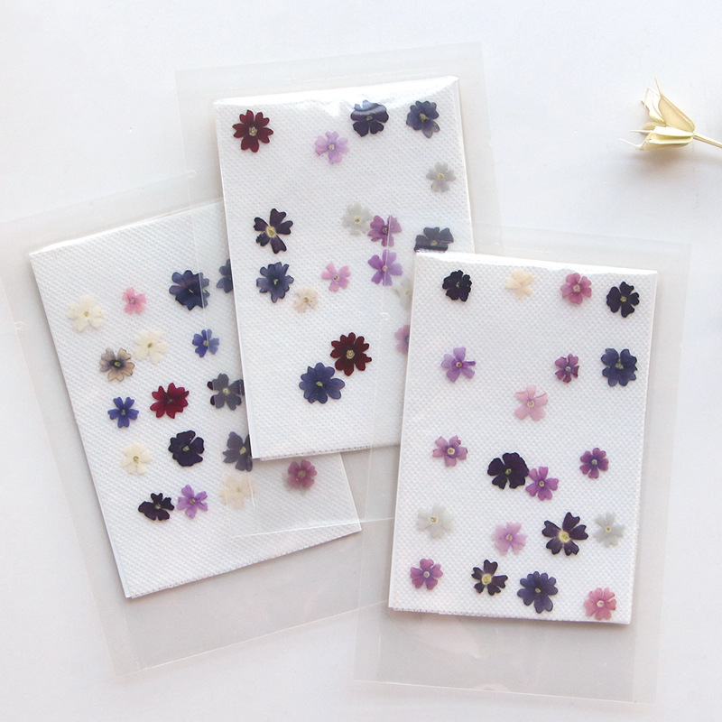 40pcs/lot,Mini Beauty Cherry p - Pressed Flower Frame avaliação e preço