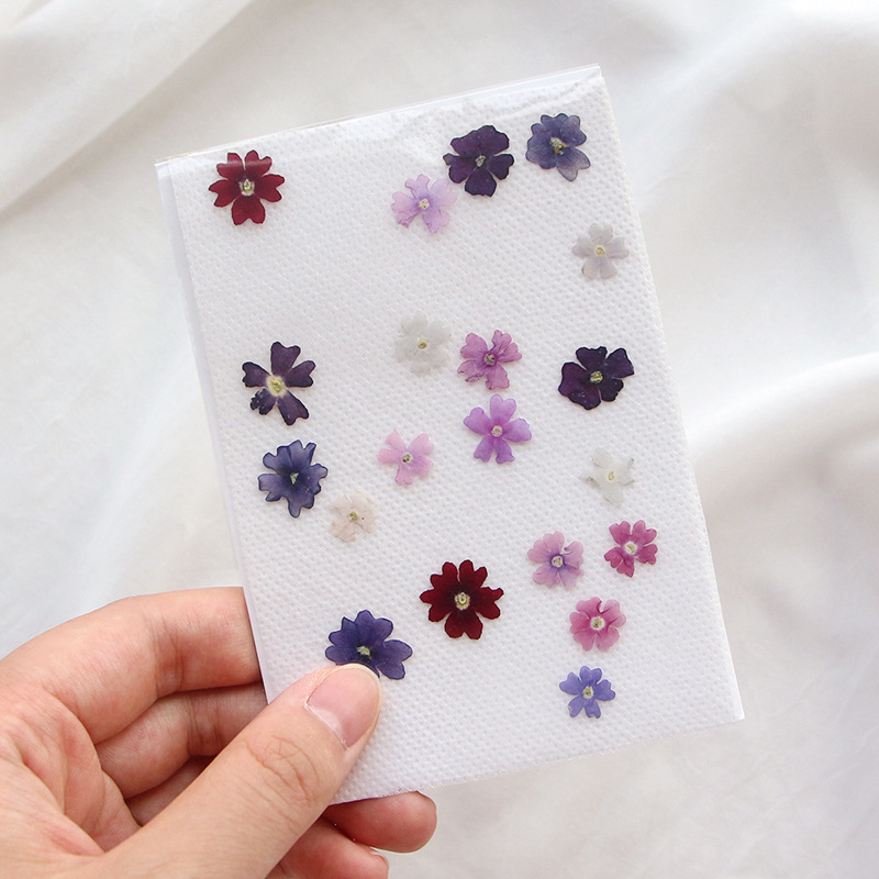 40pcs/lot,Mini Beauty Cherry p - Pressed Flower Frame avaliação e preço
