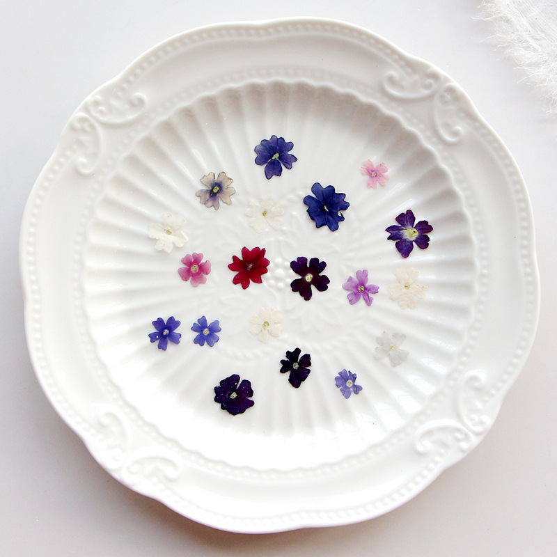 40pcs/lot,Mini Beauty Cherry p - Pressed Flower Frame avaliação e preço