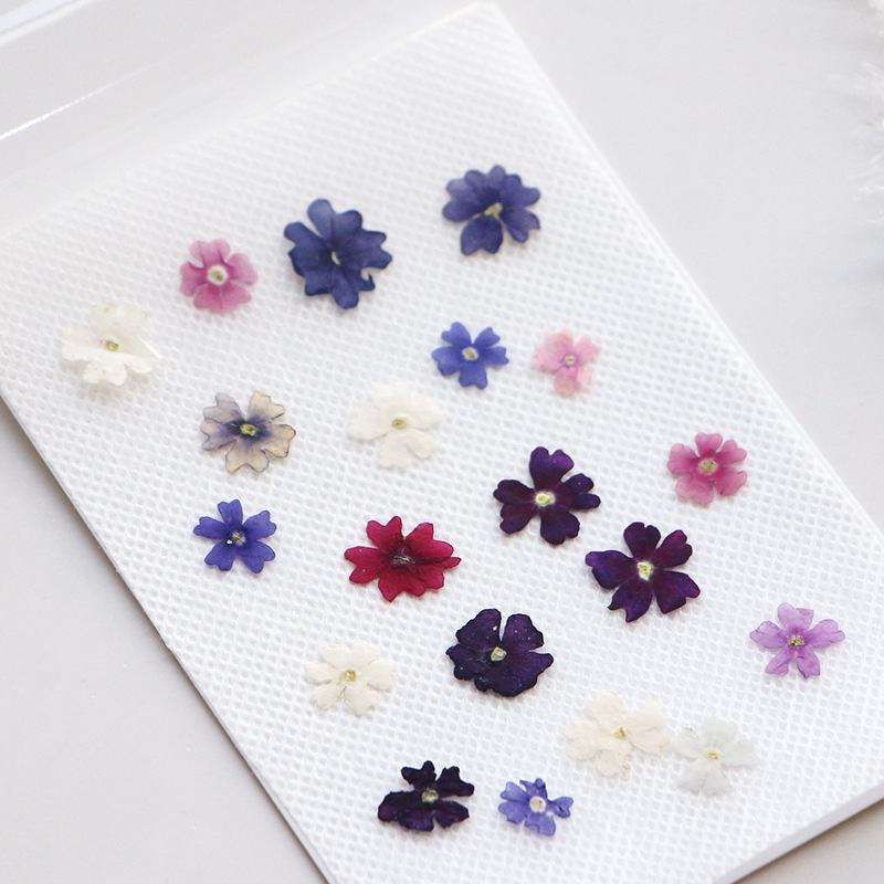 40pcs/lot,Mini Beauty Cherry p - Pressed Flower Frame avaliação e preço