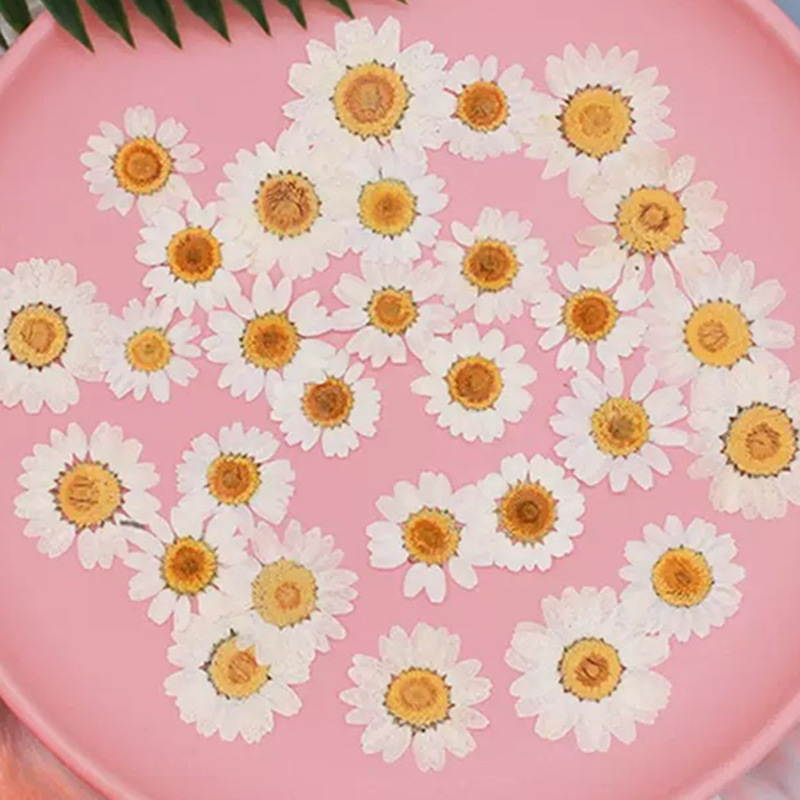 100Pcs Natural White Crystal C - Pressed Flower Frame avaliação e preço