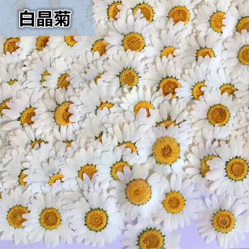 100Pcs Natural White Crystal C - Pressed Flower Frame avaliação e preço