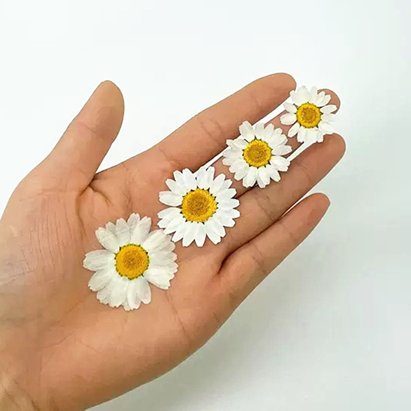 100Pcs Natural White Crystal C - Pressed Flower Frame avaliação e preço