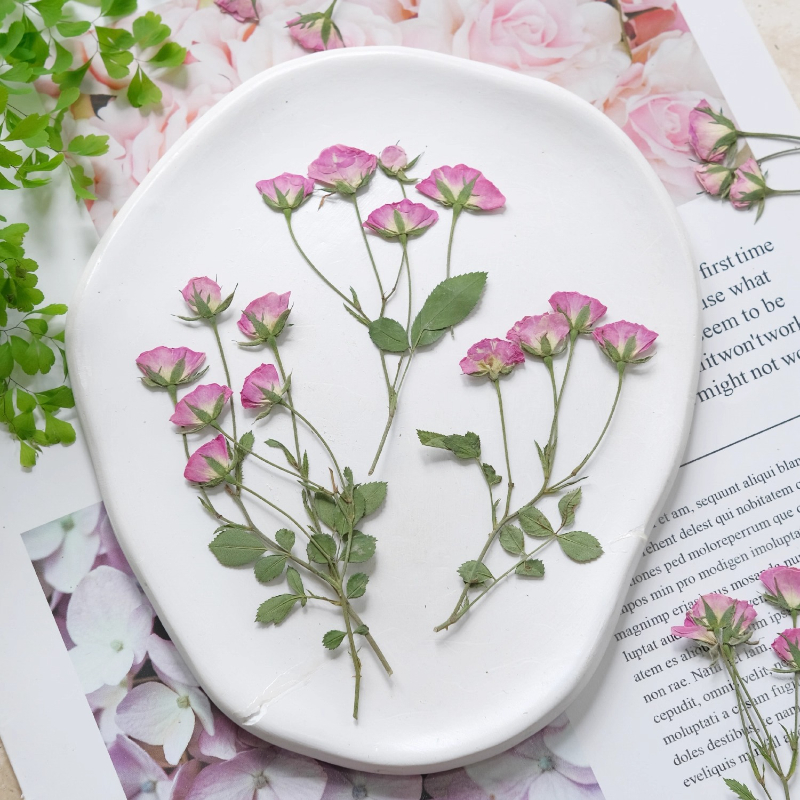 12pcs,Mini Pink Rose Pressed F - Pressed Flower Frame avaliação e preço