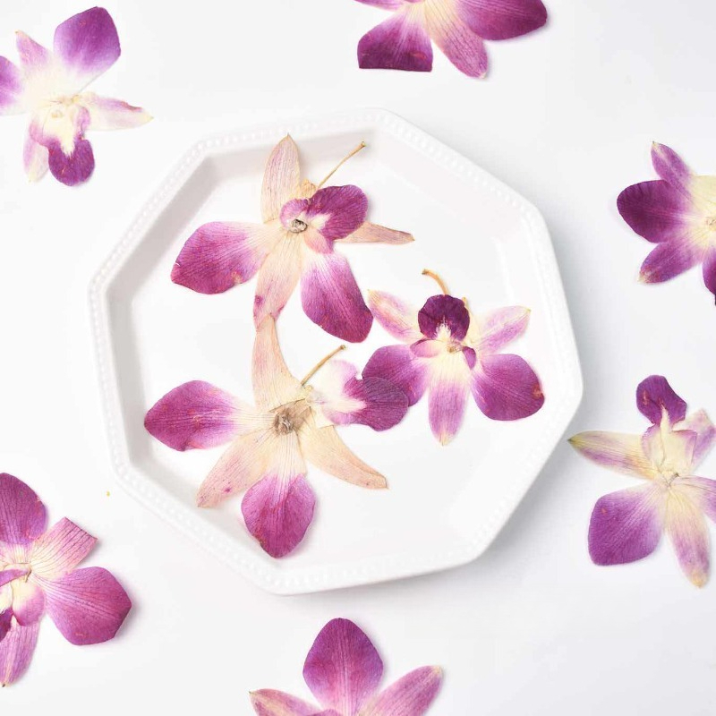 4pcs,Real Pressed Butterfly Or - Pressed Flower Frame avaliação e preço
