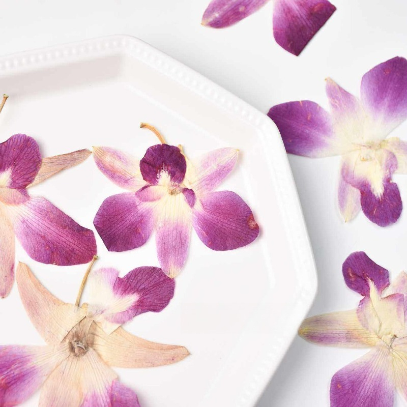 4pcs,Real Pressed Butterfly Or - Pressed Flower Frame avaliação e preço