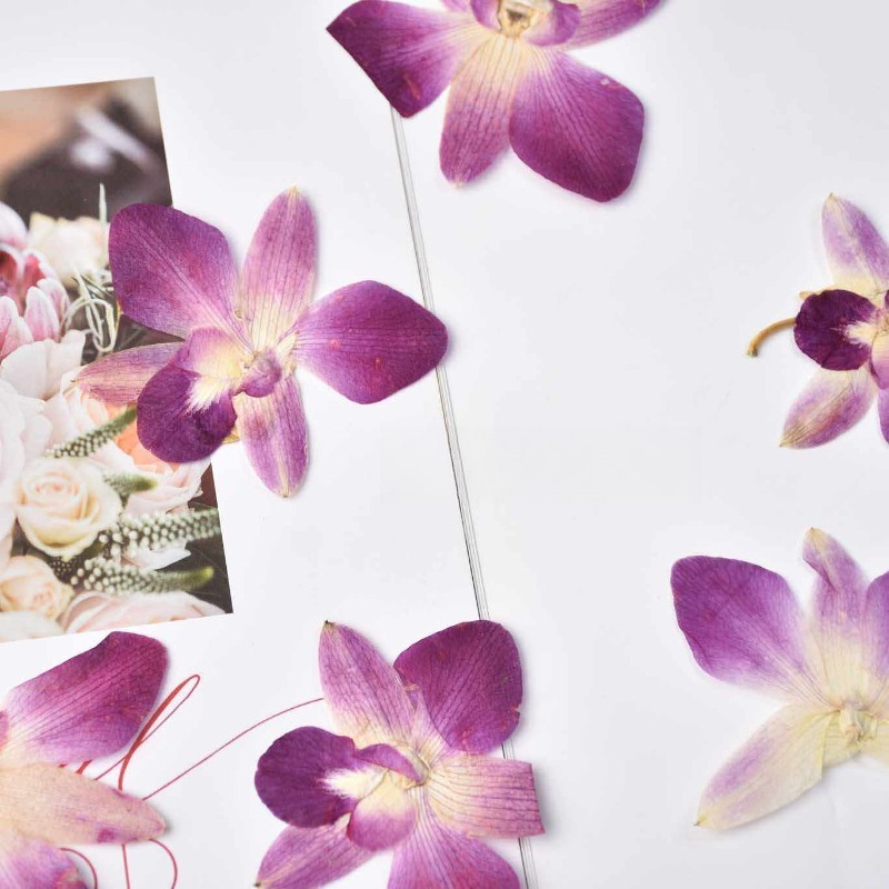 4pcs,Real Pressed Butterfly Or - Pressed Flower Frame avaliação e preço