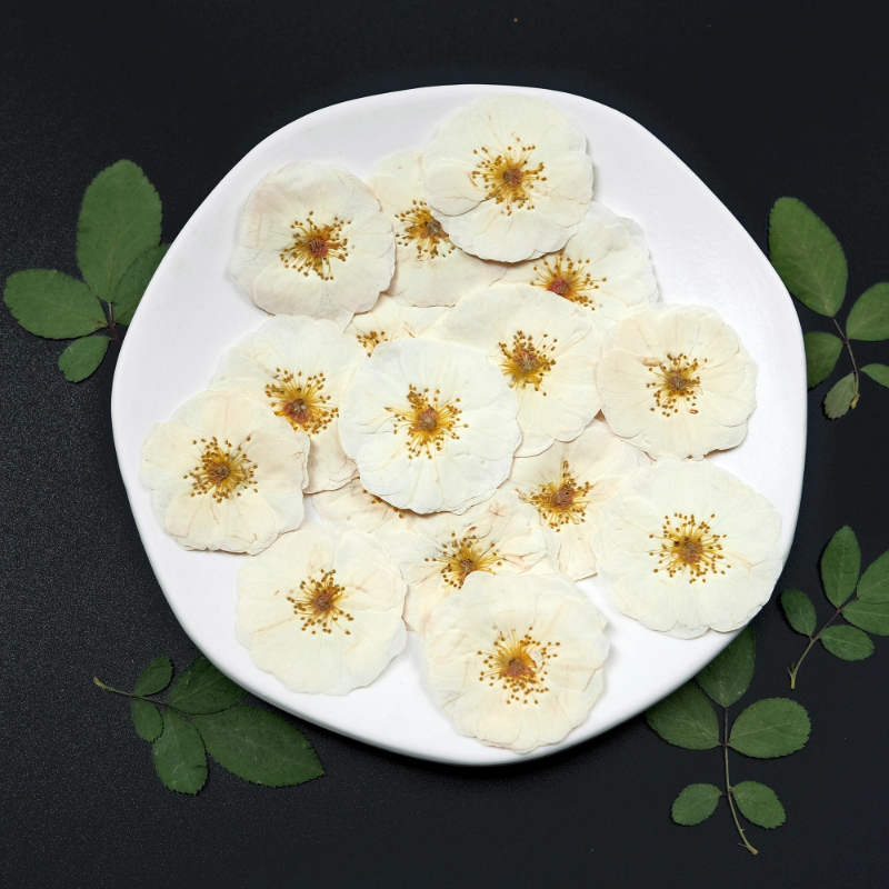 6pcs,9pcs,Nature White Rose Pr - Pressed Flower Frame avaliação e preço