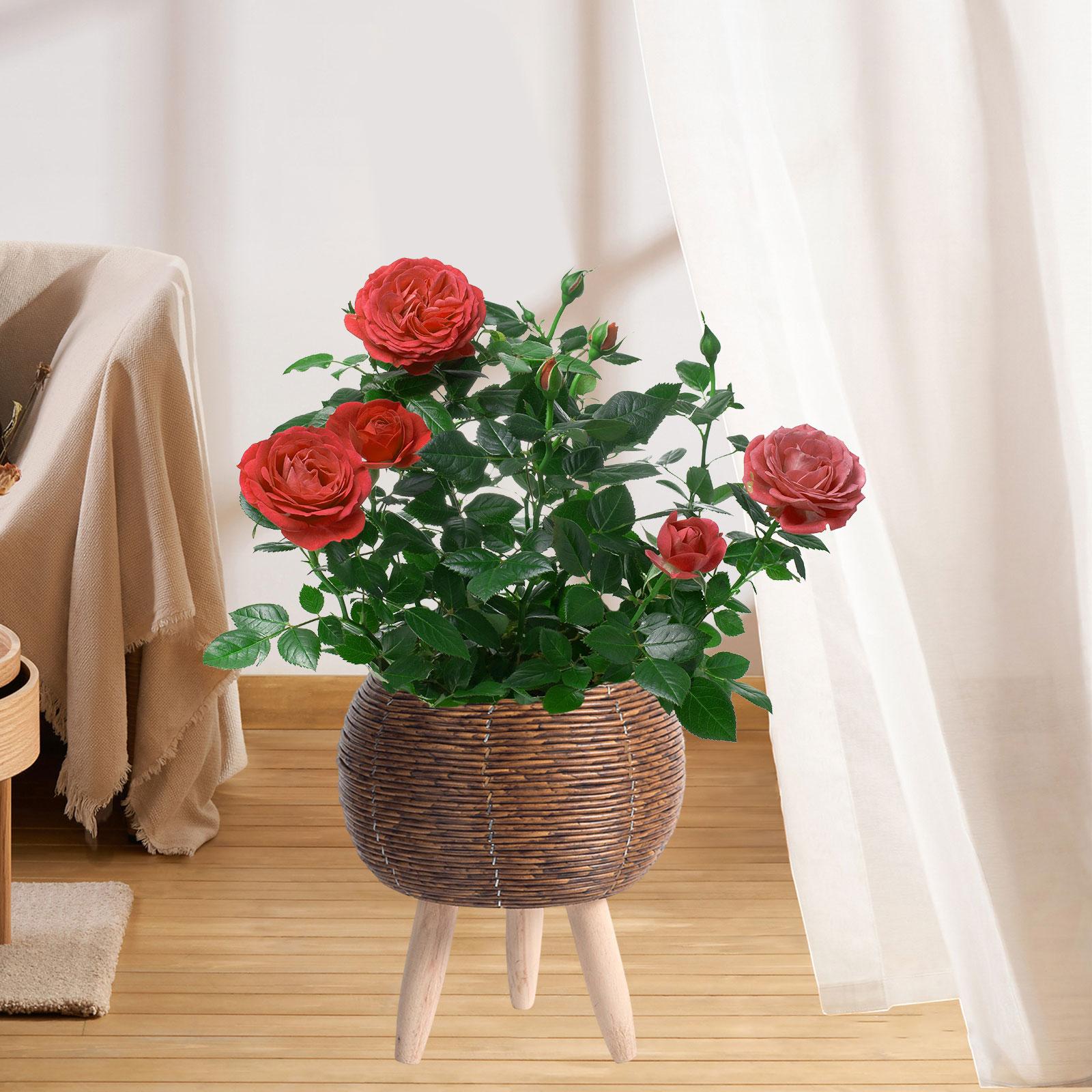 Woven Basket with Stand Indoor - Home Decor Rattan avaliação e preço
