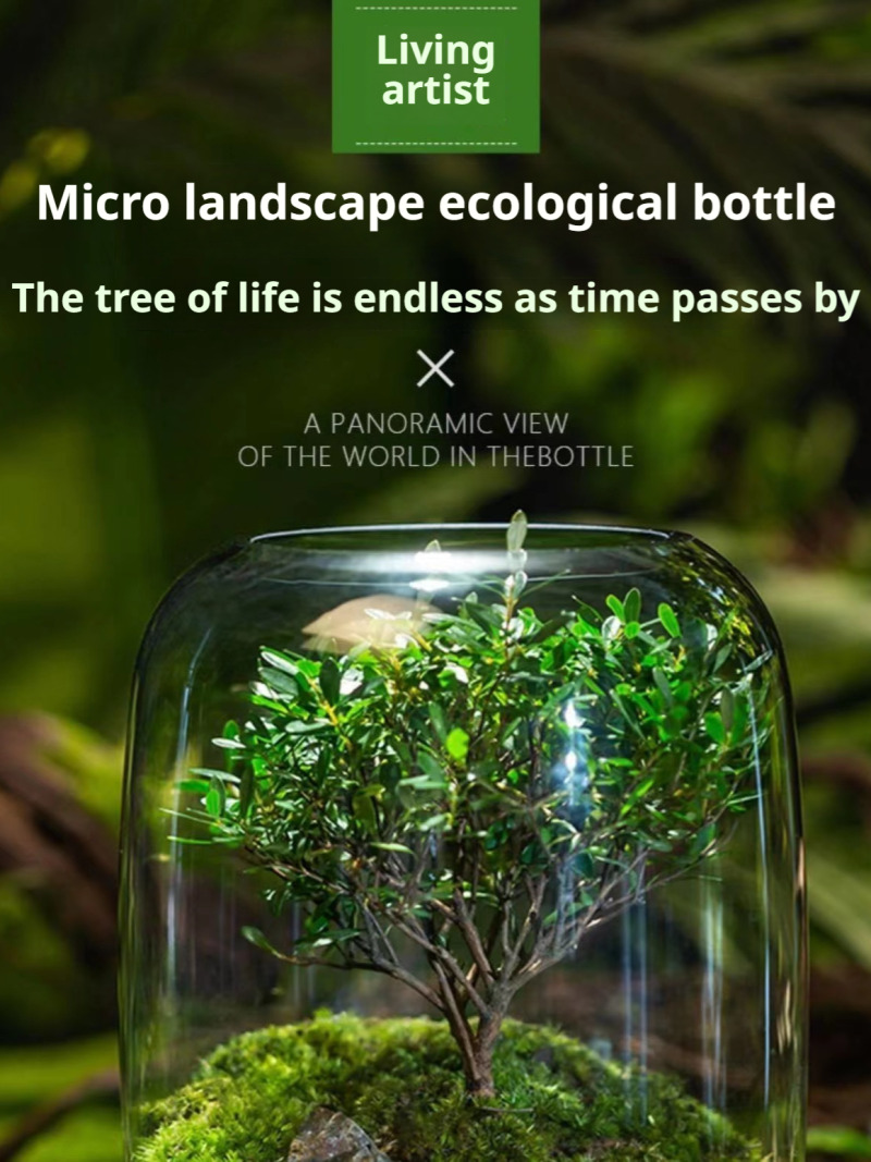 Moss Terrarium Bonsai Plant Mi - Home Decor Garden Ideas avaliação e preço