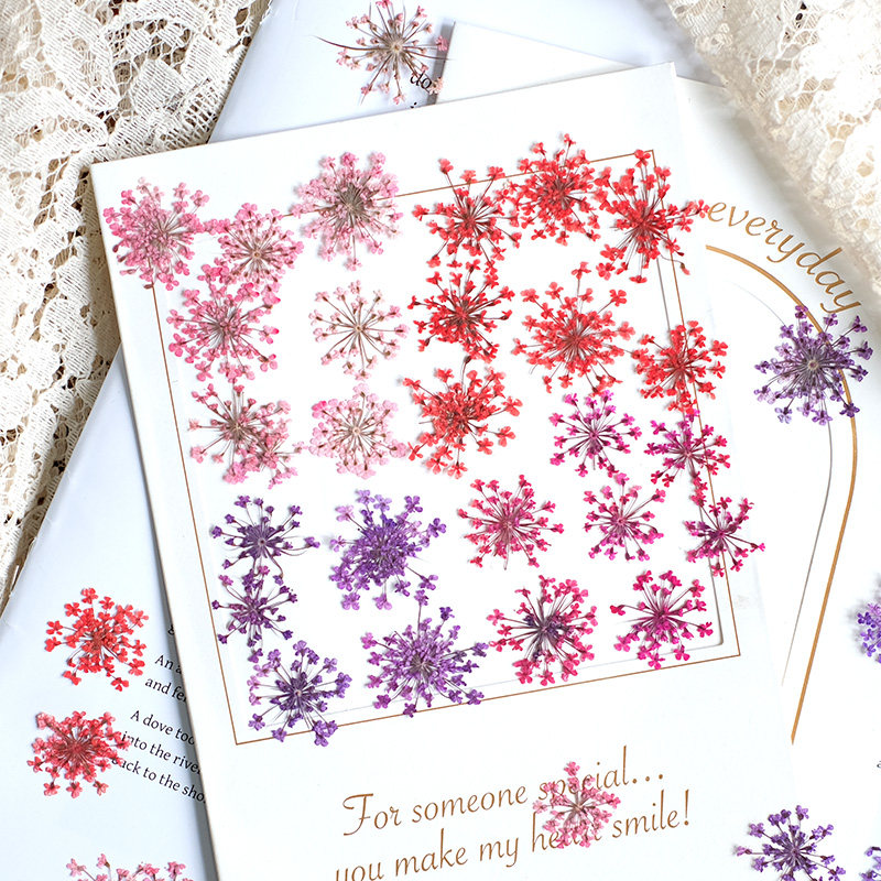 24pcs,2-2.5cm,nature Dyed Mini - Pressed Flower Frame avaliação e preço