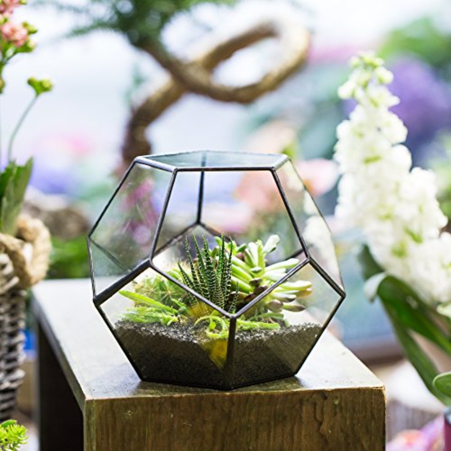 Glass Terrarium for indoor hom - Home Decor Garden Ideas avaliação e preço