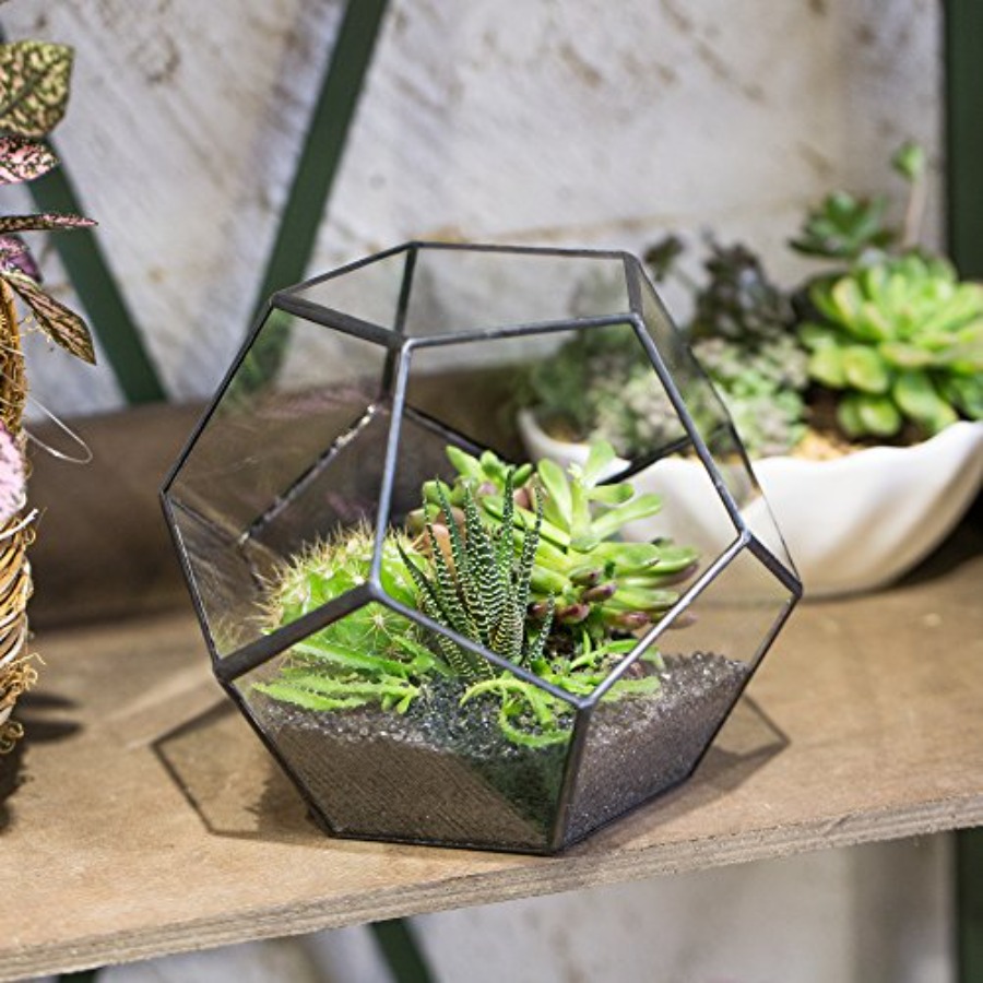 Glass Terrarium for indoor hom - Home Decor Garden Ideas avaliação e preço