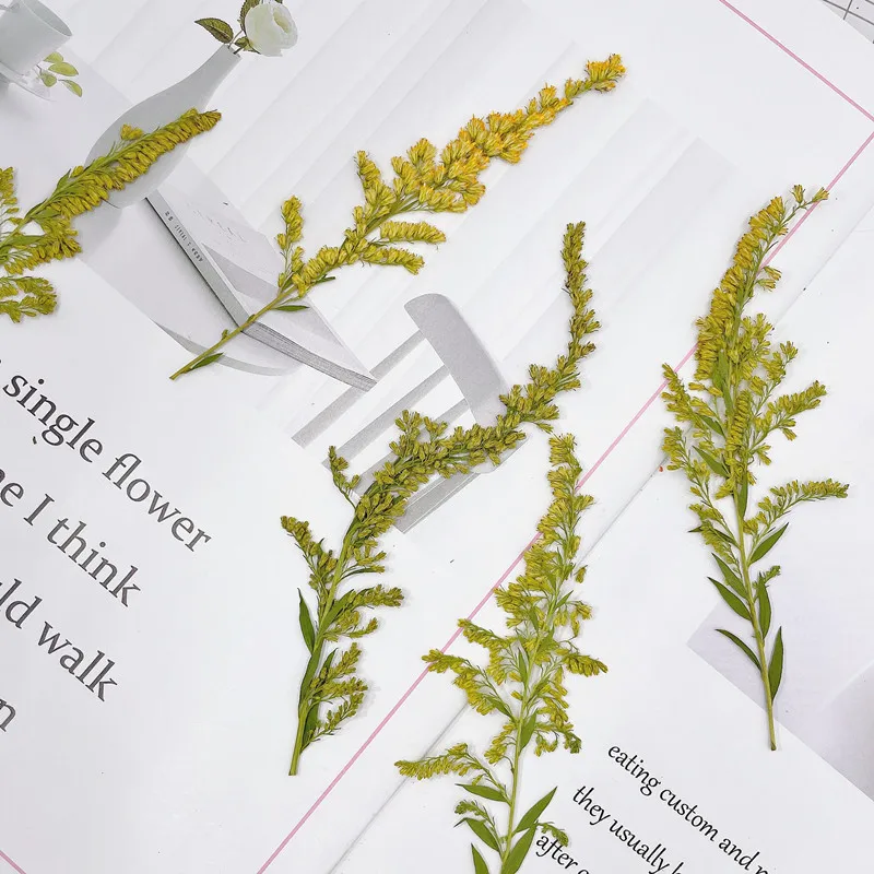 6-10cm/24pcs,natural pressed f - Pressed Flower Frame avaliação e preço