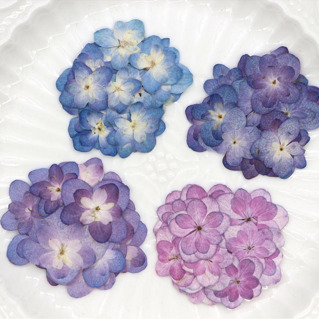 60Pcs Mini Double-Flowered Hyd - Pressed Flower Frame avaliação e preço