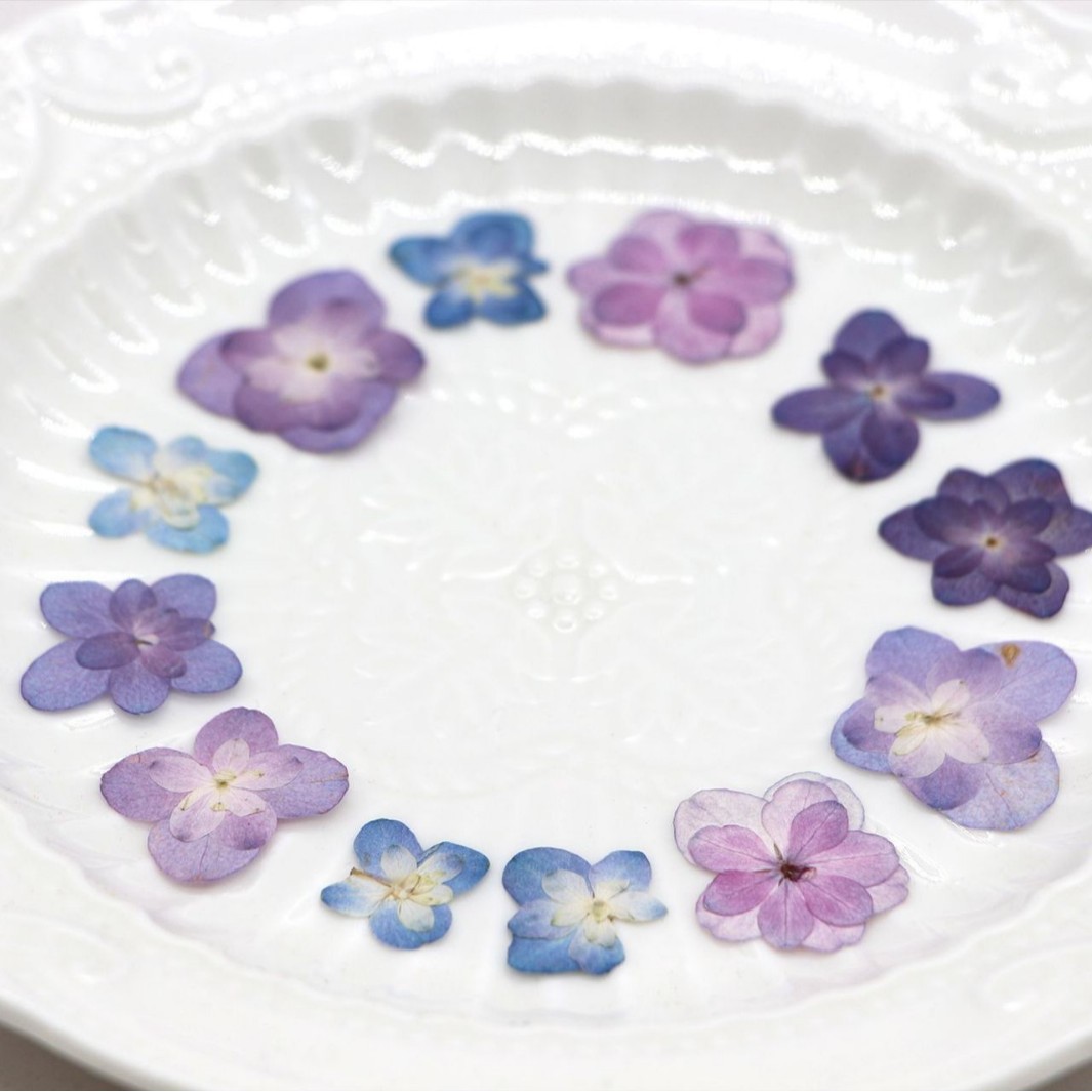 60Pcs Mini Double-Flowered Hyd - Pressed Flower Frame avaliação e preço