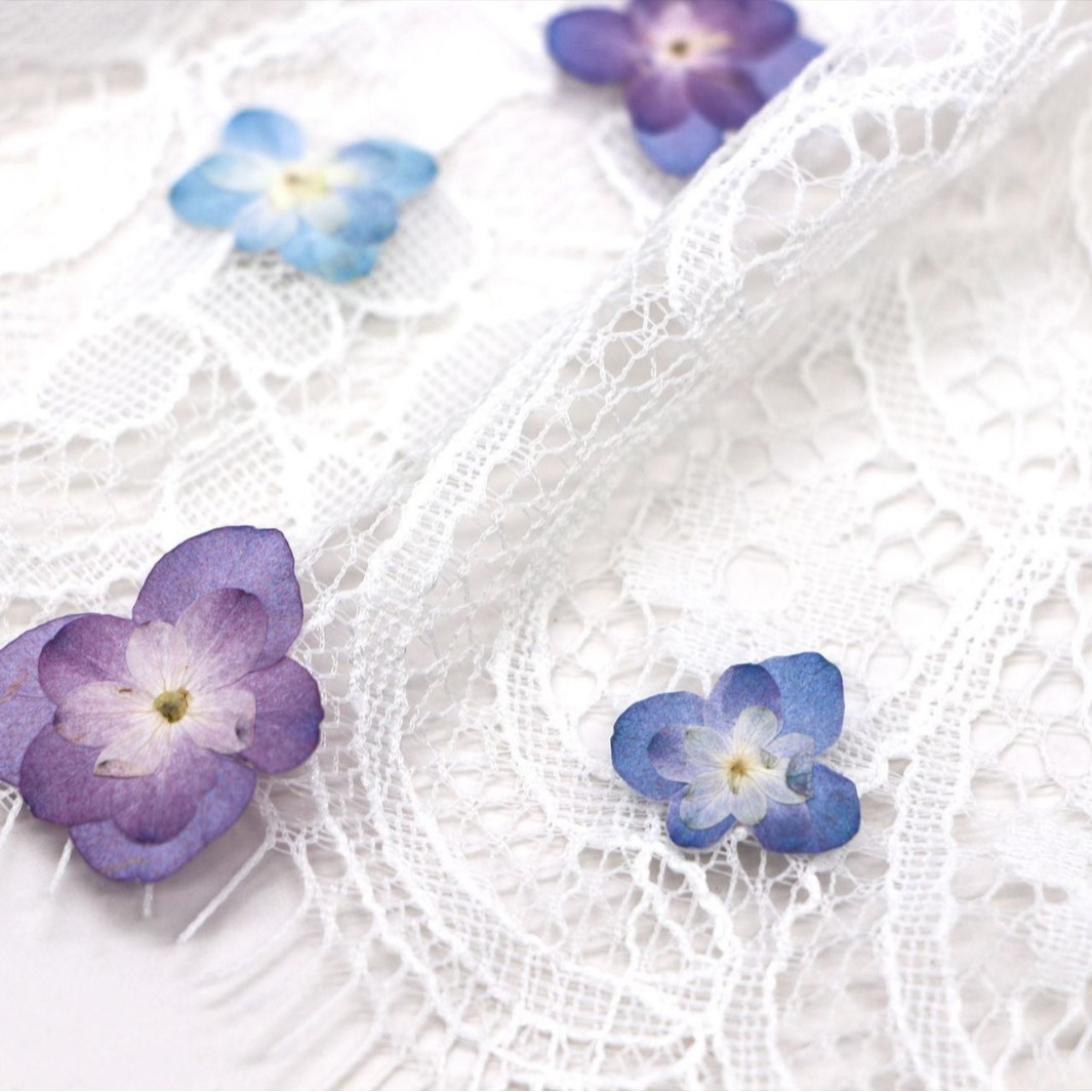 60Pcs Mini Double-Flowered Hyd - Pressed Flower Frame avaliação e preço