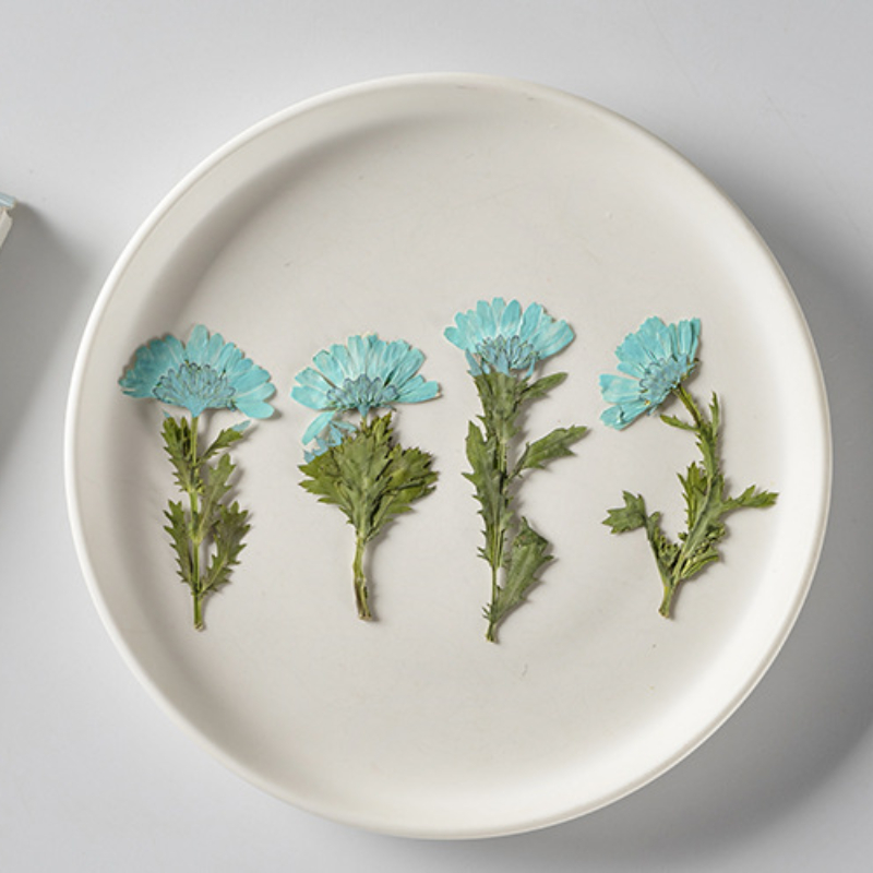 5-8cm/24pcs,Side pressed cryst - Pressed Flower Frame avaliação e preço
